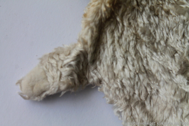 IMG-6741.jpg