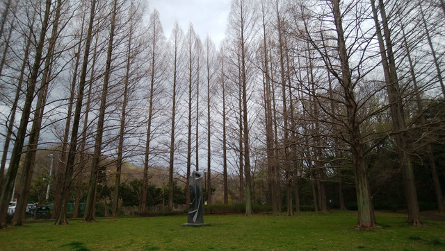 DSC-0058.jpg