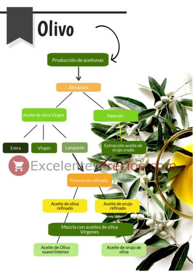 Olive oil classes Olive oil classes, lampante, extra virgin, virgin, pomace, olive...