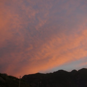 DSC05818