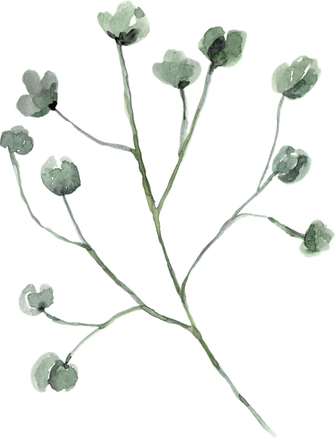 Stem-1