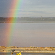 IMG-2418