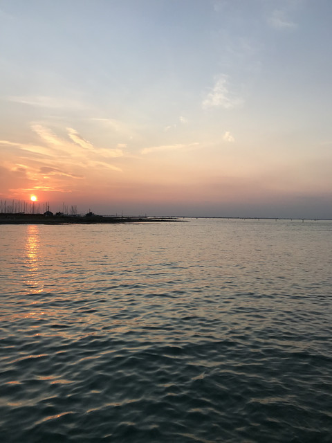 IMG-2914