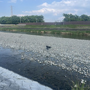 IMG-5420