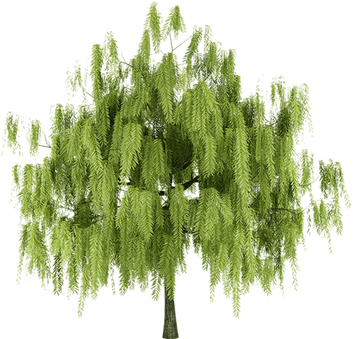 Depk6-Wxz1dk-V-1-1.png