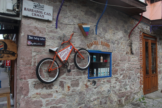 IMG-3551