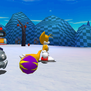 Sylvia-chases-ball