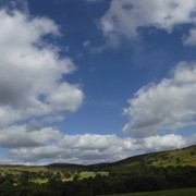 DSCF0194