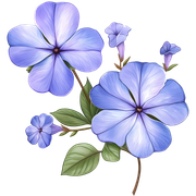 c3f337cd00f3936b48c0bb7d10bdfca0