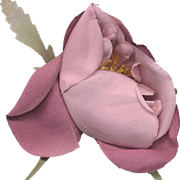 ABeautiful-Wolrd-VC-el-81