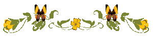 0-46a92-7b7fbf34-M