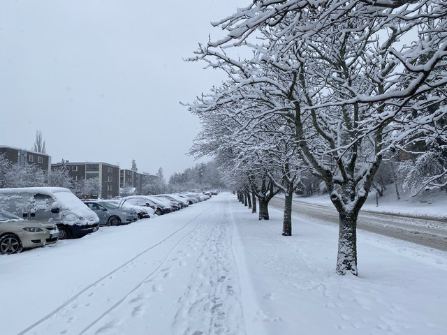 4-ECA8221-6373-482-D-AFEE-C661-A1-E1-ECD