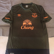 everton-15-third