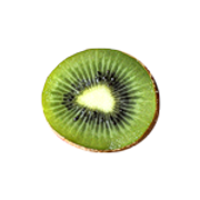 0-67b91-e0d3c483-S