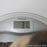 IMG-4104