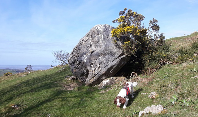072a-Limestone-Boulder