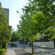 P1150124