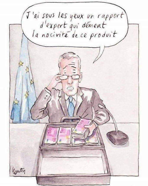 rapport-d-expert