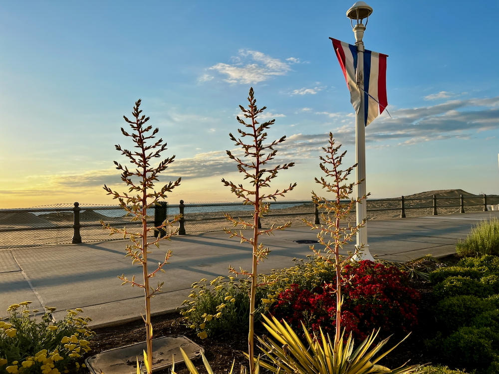 30+ лет в США. Заметки русско-американского пенсионера.