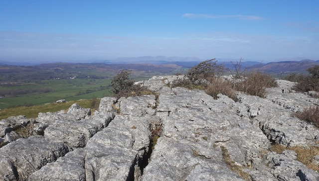 008a-Limestone-Pavement.jpg