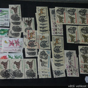 IMG-6880