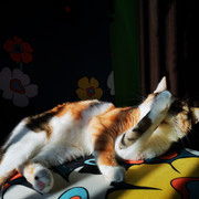 IMG-20220112-112339