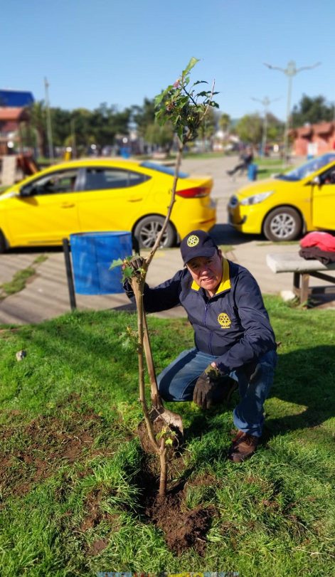 NOTICIAS ROTARY CLUB QUINTERO - Foto 3