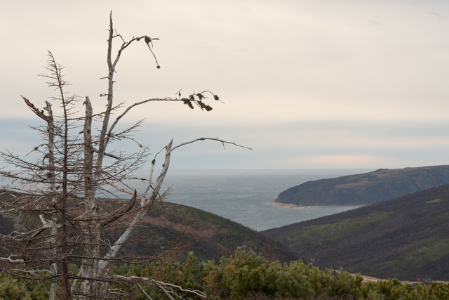 DSCF5858.jpg