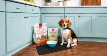 What is Human Grade Dog Food?