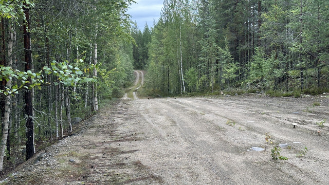 IMG 5117.jpg