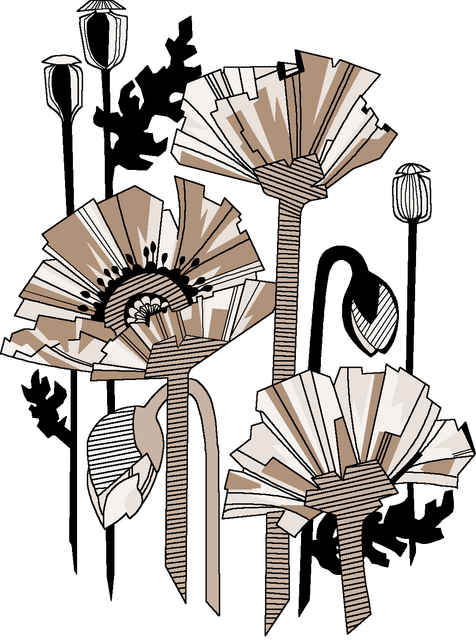 ff48210ee27a63ec4a32c81e60fc56e1.png