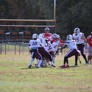 IMG-0547