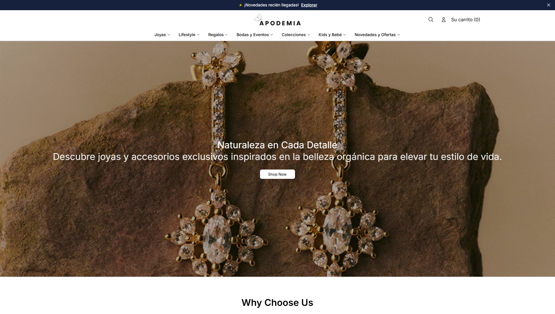 Stored capture of apodemiadesign.shop