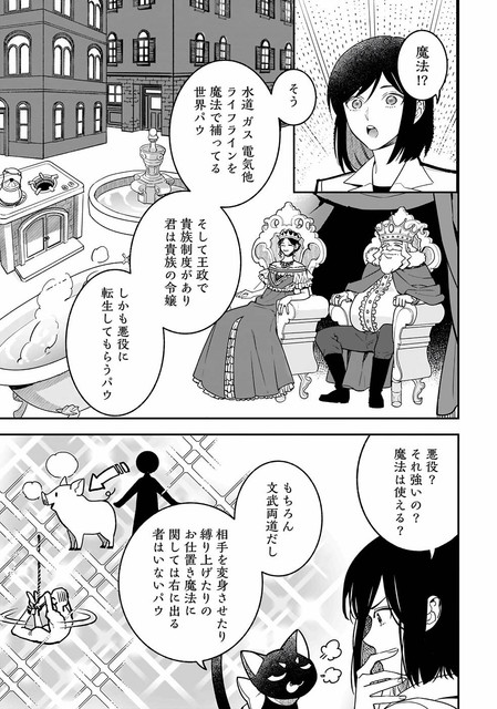 DLRAW-NET-013