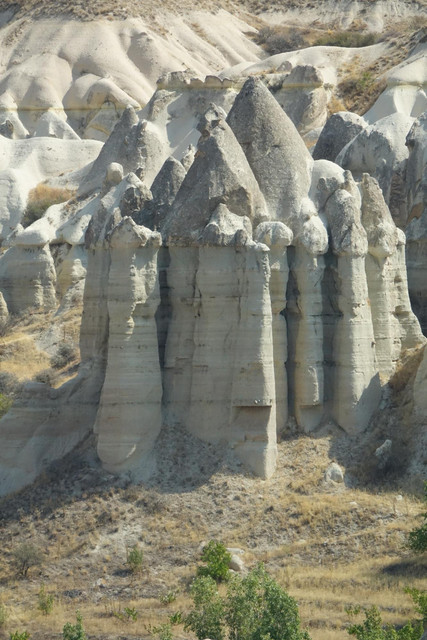 DSC06200.jpg
