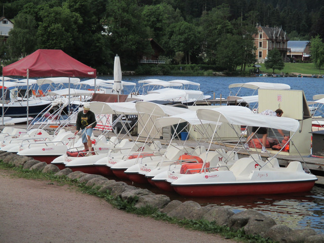 IMG 3677.jpg