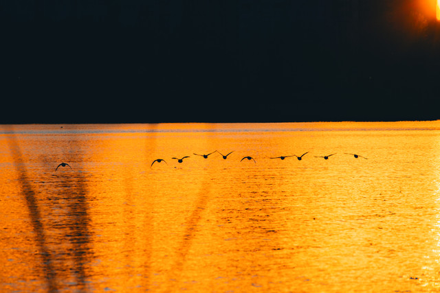 DSCF1006 копия