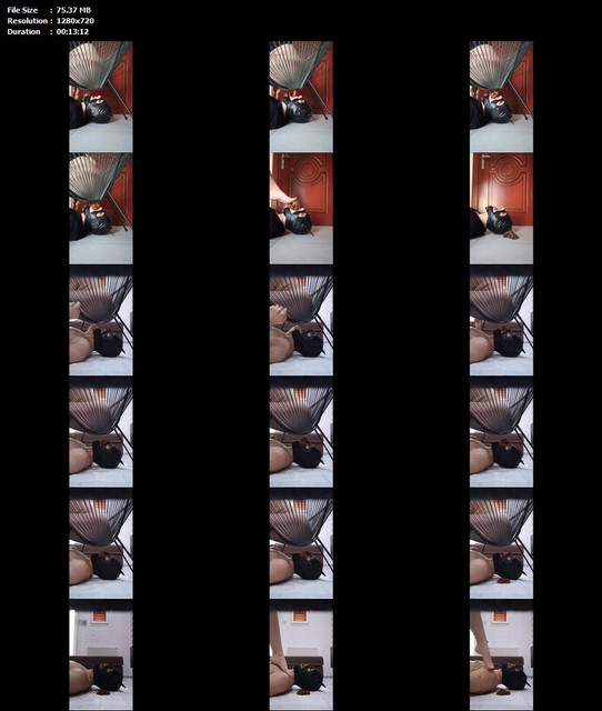 20195 mp4