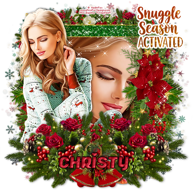 Christy CM1Bells F.png
