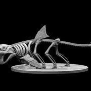 Shark Skeleton Abomination