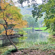 太子湾公园6