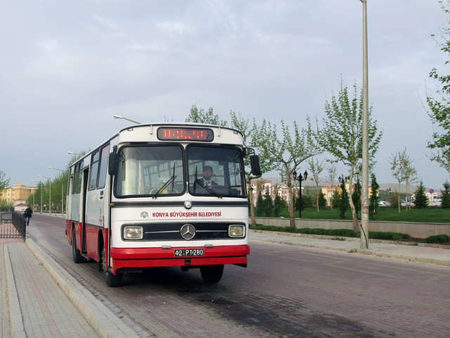 IMG-6312