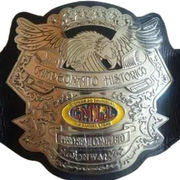 IBW World Light Heavyweight