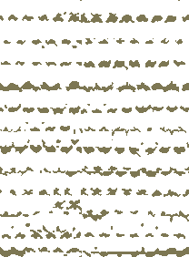 54411112.png