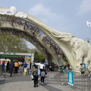 DSC09627
