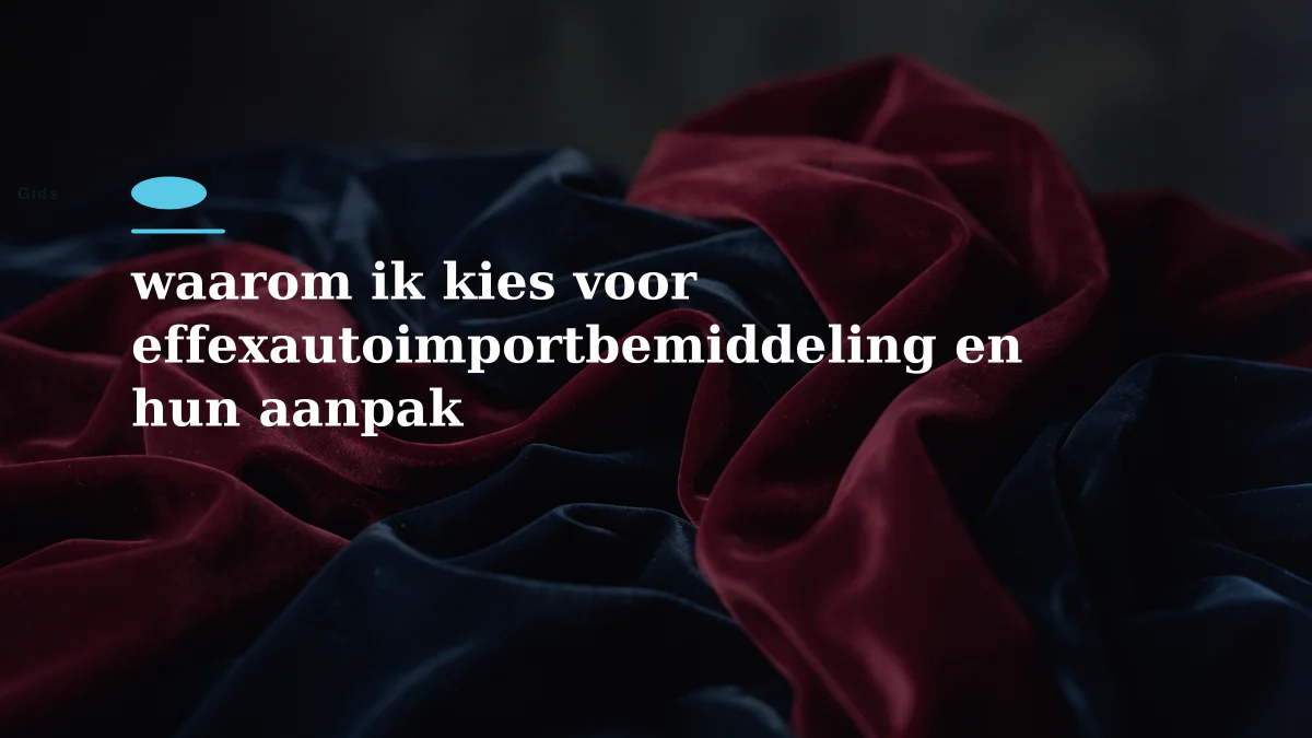 waarom ik kies voor effexautoimportbemiddeling en hun aanpak