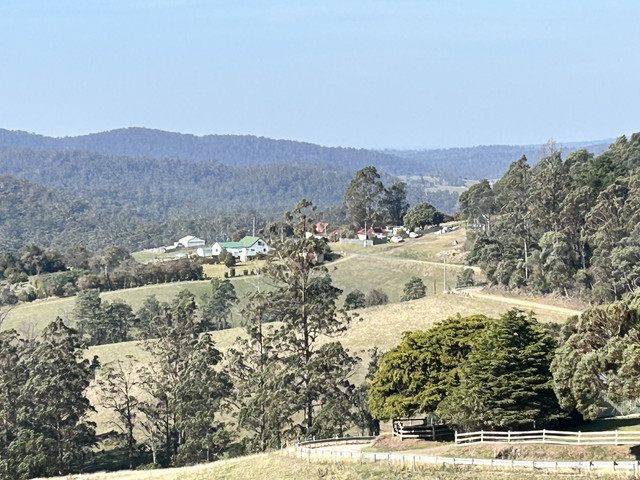 IMG 3043.jpg