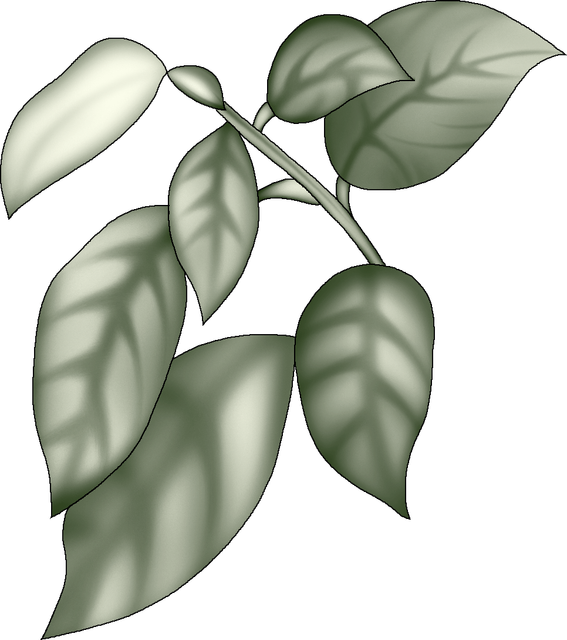 fa36d8088a724a7ba3dc9cf7dc128b2f.png