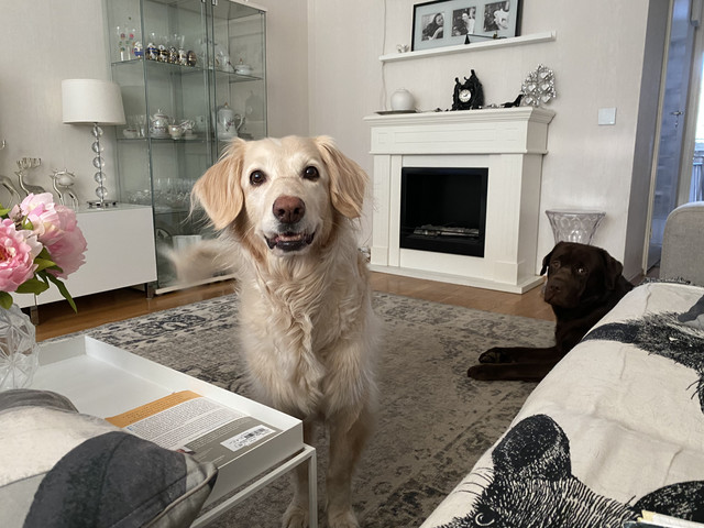 240-CACA7-156-D-42-A4-94-D2-7-CB5678364-