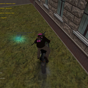 image 33